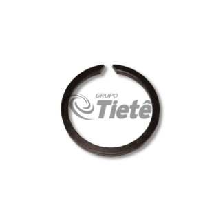 ANEL ELASTICO | MERITOR | 003280