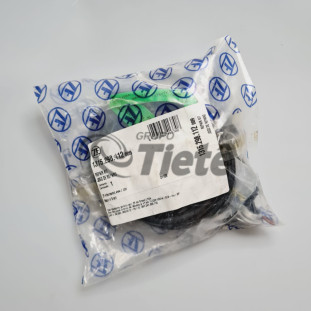 JOGO REPARO | ZF | 1315298112