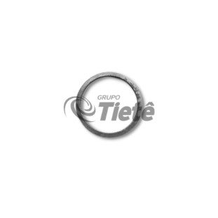 ARRUELA AJUSTE | ZF | 0730102068