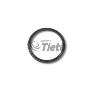 RETENTOR | ZF | 0734309401