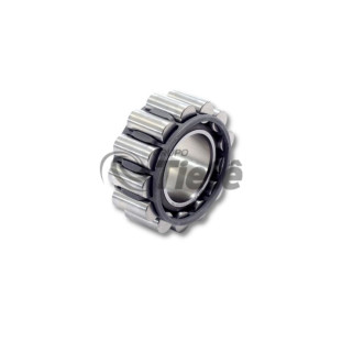 ROLAMENTO ROLOS CILINDRICOS | ZF | 0750118010