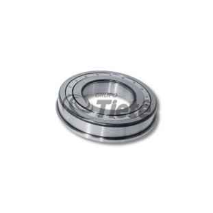 ROLAMENTO ROLOS CILINDRICOS | ZF | 0750118130