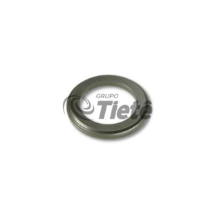 DISCO AXIAL | ZF | 1315304047