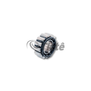 ROLAMENTO PONTA EIXO PRINCIPAL(K37 X 57 X 31 TN) | MIC | 1348