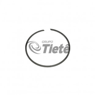 ANEL RETENCAO | ZF | 0730513755