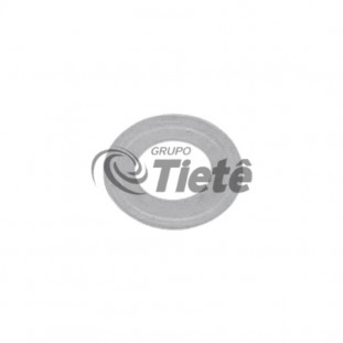 DISCO DESGASTE | ZF | 0630362042