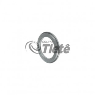DISCO AXIAL | ZF | 1315304085