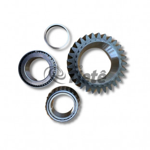 ENGRENAGEM SOLAR 25 DENTES | ZF | 0073301158