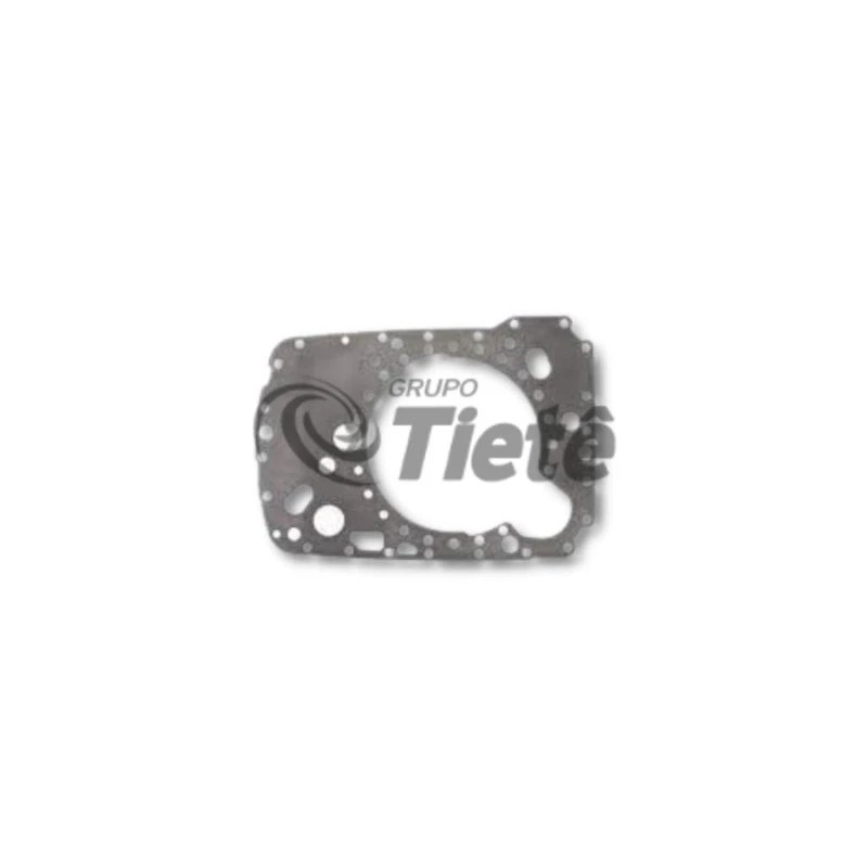 PLACA INTERMEDIÁRIA | ZF | 1315301118
