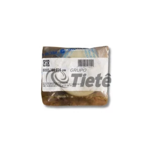 CALOTA | ZF | 6005300224