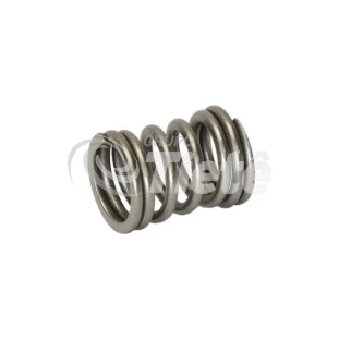 MOLA DE PRESSAO | BOSCH | 2464633002