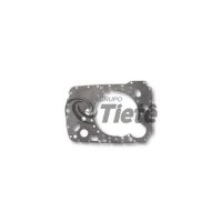 Placa Intermediária | ZF | 1315301118
