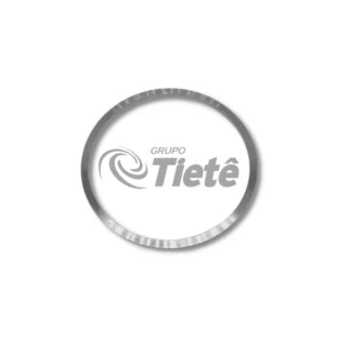 ANEL | ZF | 0501398746