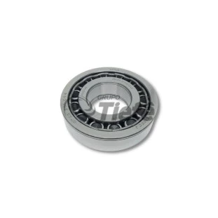 ROLAMENTO DE ROLOS CILINDRICOS | ZF | 0735301004