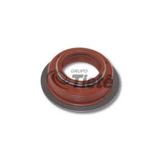 GUARNICAO CHAPEU | ZF | 0750112131