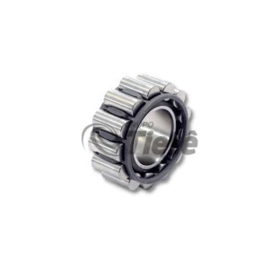 ROLAMENTO ROLOS CILINDRICOS | ZF | 0750118010
