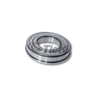 ROLAMENTO ROLOS CILINDRICOS | ZF | 0750118130