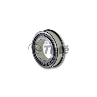 ROLAMENTO ROLOS CILINDRICOS | ZF | 0750118471