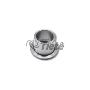 BUCHA ENCOSTO | ZF | 1250304142