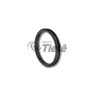 LUVA ENGATE | ZF | 1310304195