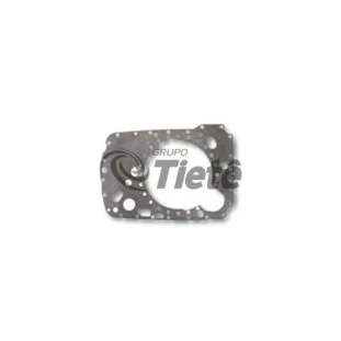 PLACA INTERMEDIARIA | ZF | 1315301118