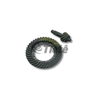 COROA E PINHAO | MERITOR | A397301456