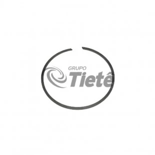 ANEL RETENCAO | ZF | 0730513755