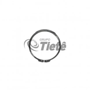 ANEL SEGURANCA | ZF | 0630501174