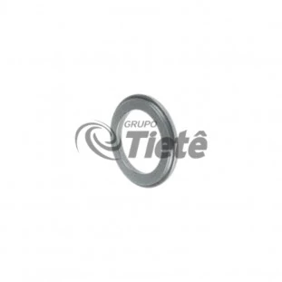 DISCO AXIAL | ZF | 1315304085