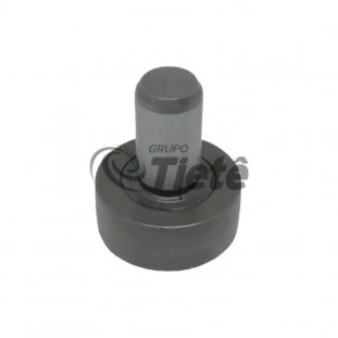 ROLO EXCENTRICO | ZF | 0501214560