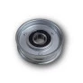 POLIA ALTERNADOR GM | NYTRON | 1139