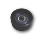 POLIA ALTERNADOR FIAT | NYTRON | 1245