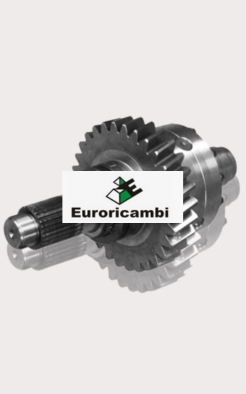 EURORICAMB